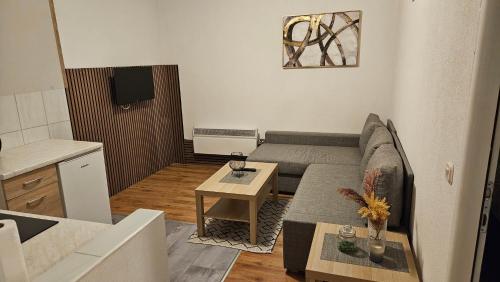 Apartman MIX2 Zagreb - Maksimir KBC Rebro