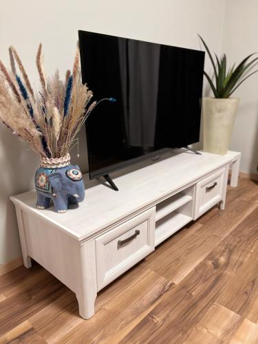 TV a/nebo společenská místnost v ubytování Altstadt Apartments - Wohnen im Herzen der Stadt