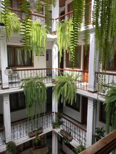 an apartment building with plants on the balconies at Aleros Hotel Boutique in Cuenca