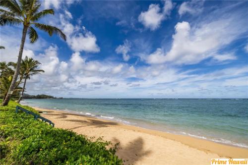 a beach with a bench and palm trees and the ocean at Ground Level Beachfront Studio in Hauula
