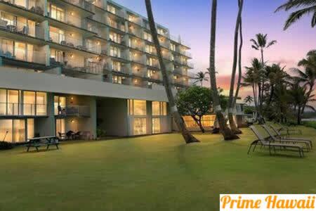 a large building with palm trees in front of it at Ground Level Beachfront Studio in Hauula