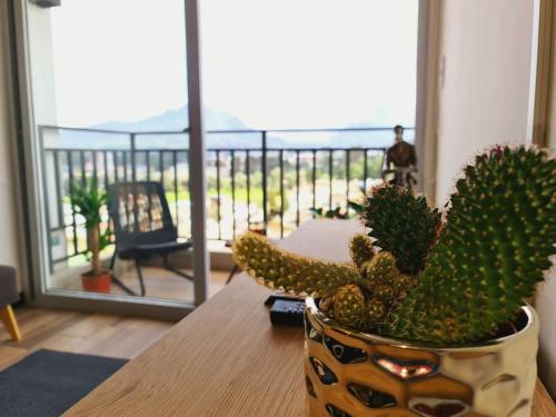 a potted plant sitting on a table in front of a balcony at Torre La Floresta Quetzaltenango in Quetzaltenango