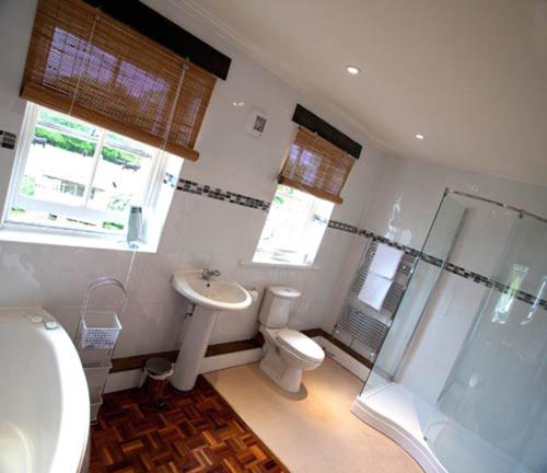 a bathroom with a toilet and a sink and a shower at Strands Hotel/Screes Inn & Micro Brewery in Nether Wasdale