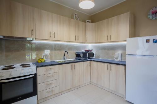 a kitchen with wooden cabinets and a white refrigerator at Aggerikos Relax House in Ayios Kirikos