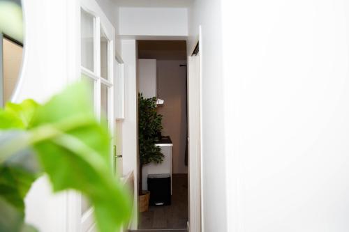 une porte ouverte menant à un couloir avec une plante dans l'établissement Studio Stade de France 2 pour 2 personnes, à Saint-Denis