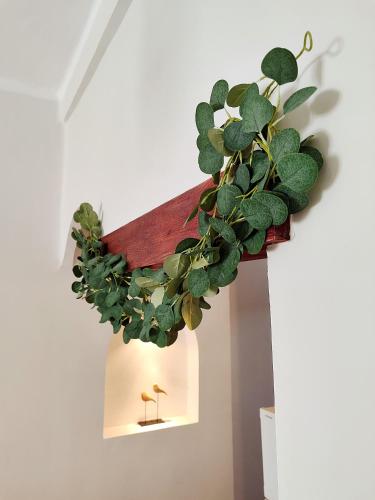 Casita Macarena photo 13