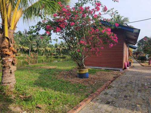 a tree with pink flowers next to a building at Tmn Rekreasi Cikgu Haron in Labis