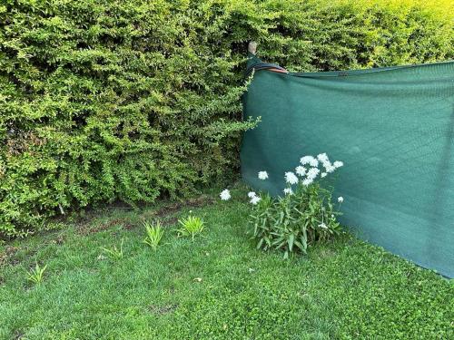 a green fence with a plant in the grass at Casa Huerta in Vista Flores