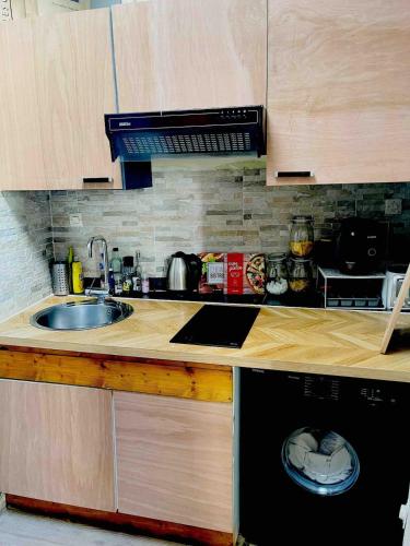 une cuisine avec un évier et un lave-vaisselle dans l'établissement Maisonnette centre au calme, à Nantes