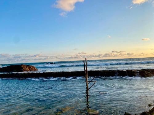 a view of the ocean with a pole in the water at Serene Garden Lodge in Ahangama