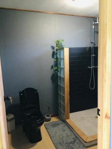 a bathroom with a black toilet and a shower at Tubuai Fun Lodge in Tubuai