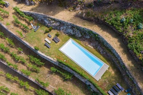 an overhead view of a swimming pool in a garden at Melgaço Alvarinho Houses in Melgaço