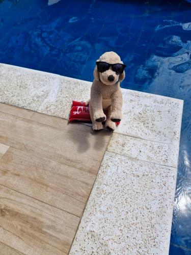 a teddy bear wearing sunglasses sitting next to a swimming pool at Suíte tripla com vista piscina em casa familiar de luxo em Itaipu in Niterói