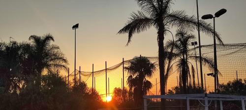 a fence with palm trees in front of a sunset at Guarda l'alba in Altavilla Milicia