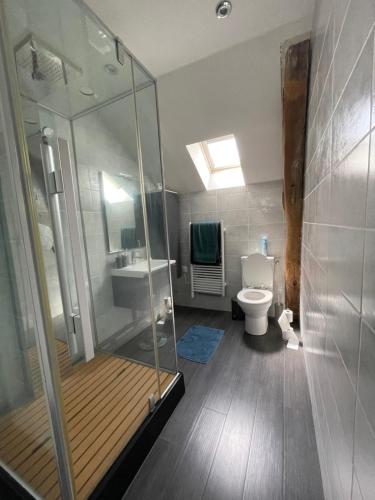 a bathroom with a shower and a toilet and a sink at Lucia de La Motte in Seur