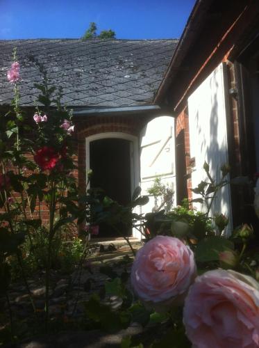 a garden with pink flowers in front of a house at Ola-Nils Gård in Borrby