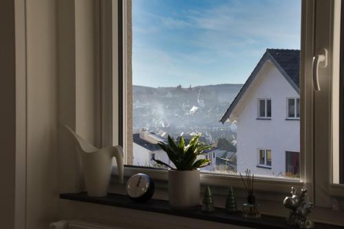 a window with a potted plant sitting on a ledge at Wollfühloase Eversberg in Meschede
