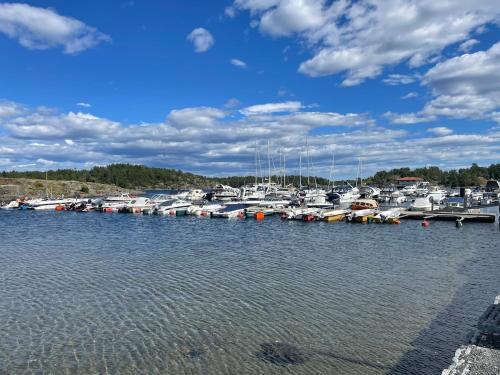a bunch of boats are docked in a harbor at Hytte med sjøutsikt in Bamble