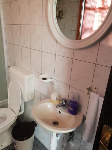 a bathroom with a sink and a toilet and a mirror at Ruralna kuća za odmor GOLUB in Škarićevo