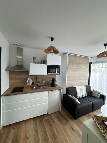 une cuisine et un salon avec un canapé dans une pièce dans l'établissement Le ptit eden, à La Teste-de-Buch