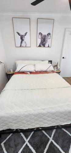 a bedroom with three pictures of dogs on the wall at The Hancock Homestead in Teatree Gully