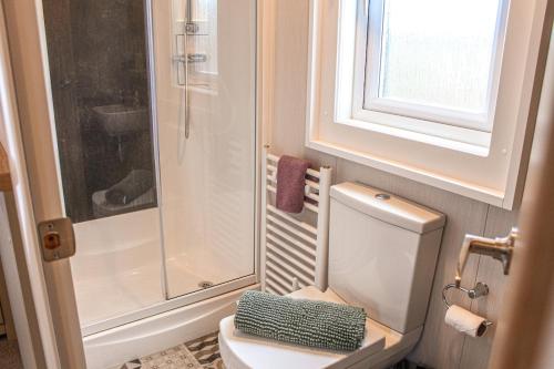 a bathroom with a toilet and a glass shower at Bumble Lodge New Forest in Landford