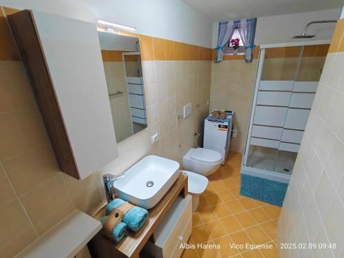 a bathroom with a sink and a toilet and a shower at Manù Apartment in Vico Equense