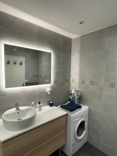 une salle de bain avec une machine à laver et un lavabo dans l'établissement Charming downtown Riom apartment, à Riom