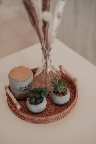 a tray with a vase and some plants on it at Spyridoula's apartment in Nafplio