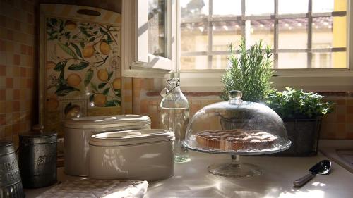 a cake in a glass dish on a kitchen counter at Rustico Dora in Camaiore
