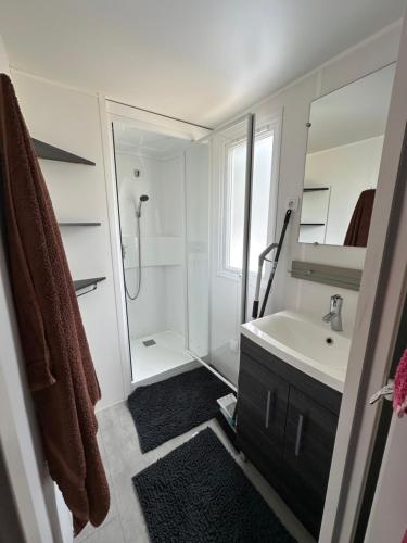 łazienka z prysznicem, umywalką i lustrem w obiekcie Mobil home les Embruns w mieście Lège-Cap-Ferret