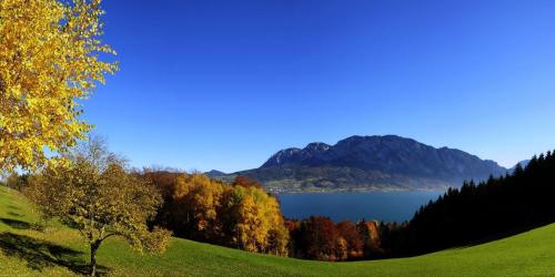 a view of a lake with a mountain in the background at Ferienhof Margarethengut in Unterach am Attersee