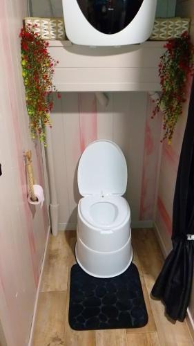 La salle de bains est pourvue de toilettes blanches et d'un miroir. dans l'établissement Cabane O Chalet, à Voué