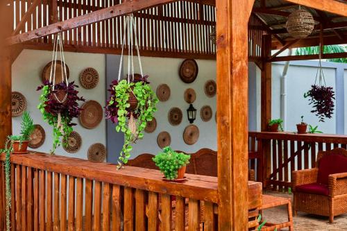 a room with pots and plants on a wall at Mvule Homes in Arusha