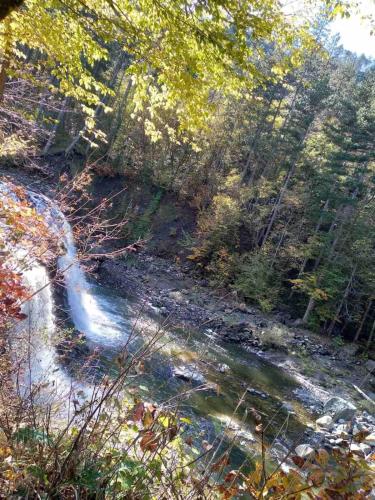 a river in the middle of a forest at Vikendica Šehić in Zavidovići