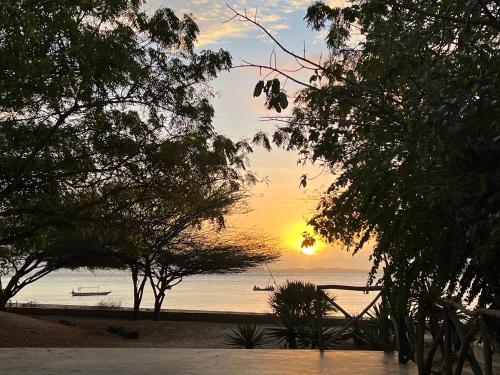 a sunset seen through the trees on a beach at Mangrove House in Lamu