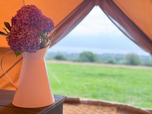 a vase with purple flowers sitting on a window sill at Furnished Bell Tent 4 in St Austell