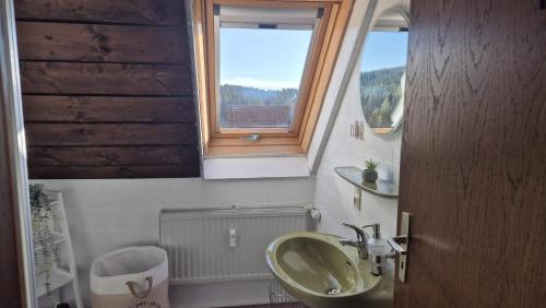 a bathroom with a green sink and a window at Chalet Schluchsee Ferienwohnung in Schluchsee