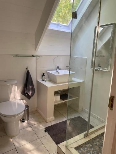 a bathroom with a sink and a toilet at This Is Us in Franschhoek