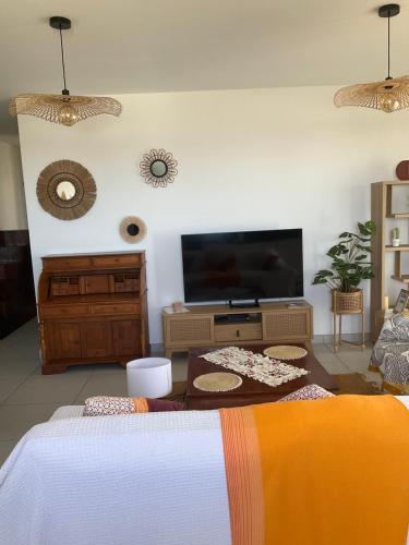 TV a/nebo společenská místnost v ubytování La terrasse du lagon