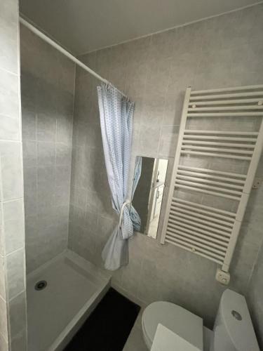 a bathroom with a toilet and a shower and a mirror at Chez Ben et Lou in Envermeu