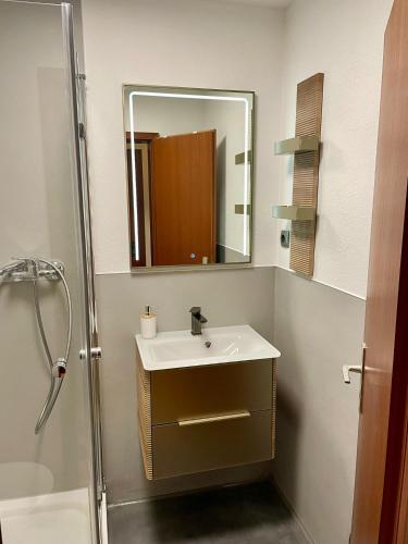 a bathroom with a sink and a shower with a mirror at Appartment Indira in Bad Sobernheim