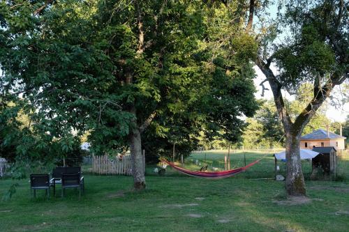 a hammock in a yard between two trees at La Fermette Henriette 3 sterren in Vicq-Exemplet