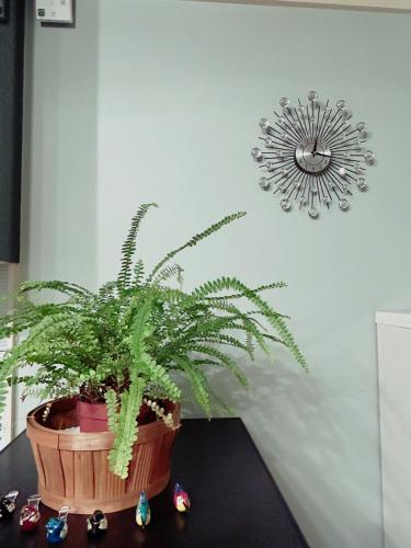 a potted plant sitting on a table next to a wall at Airportside Chillhouse in Toyonaka