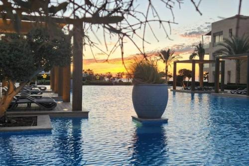 Kolam renang di atau dekat dengan Mangroovy 1 br Ground Composure & Cool Hilton view