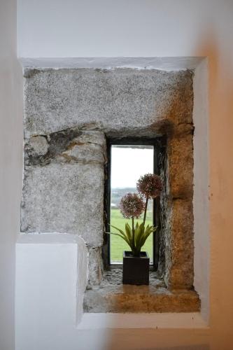 Gambar di galeri bagi Seaview Stable Barn di Penryn