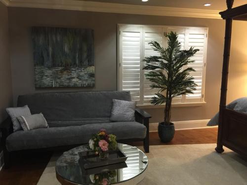 a living room with a couch and a potted tree at Louisiana Cajun Mansion in Youngsville