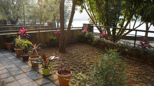 a garden with potted plants next to a fence at Portofino TreeHouse in Lavasa