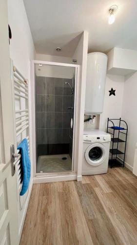 une salle de bain avec douche et machine à laver dans l'établissement KIKOR, belle vue sur le Loiret, à Saint-Pryvé-Saint-Mesmin