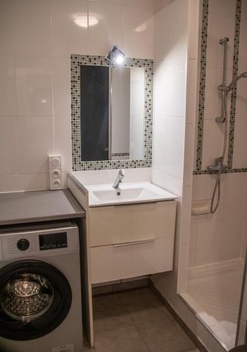 une salle de bain avec un lavabo et une machine à laver dans l'établissement Vannes - L'étoilé, parking et linge inclus, à Vannes